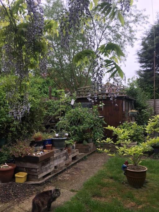 Carpe Diem Rooms Flat Near Zone 1 Londra Exterior foto